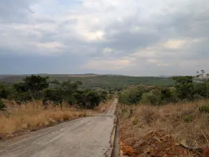 Residential Stand for Sale