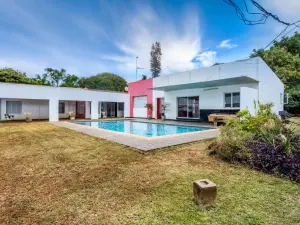 Office to Rent in Newlands