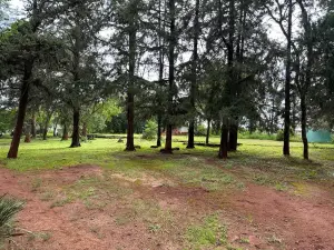 Residential Stand for Sale