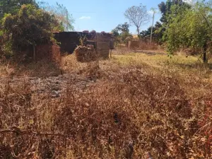 Residential Stand for Sale