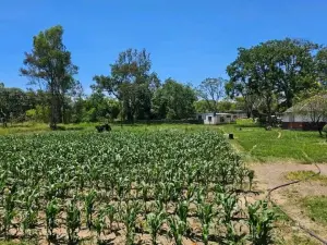 Farm/Plot for Sale