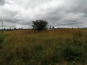 Residential Stand for Sale