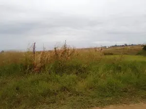 Residential Stand for Sale