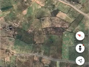 Commercial Stand for Sale