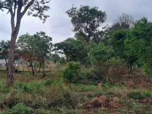 Residential Stand for Sale