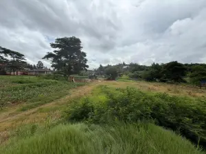 Residential Stand for Sale