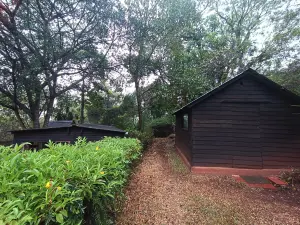 5 Bedroom House to Rent in Avondale - The Ridge
