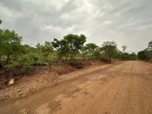 Residential Stand for Sale