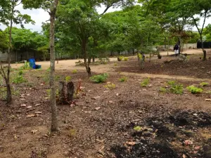 Residential Stand for Sale