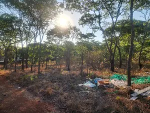 Residential Stand for Sale