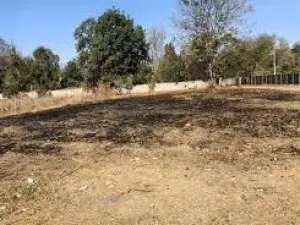 Residential Stand for Sale