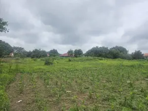 Residential Stand for Sale