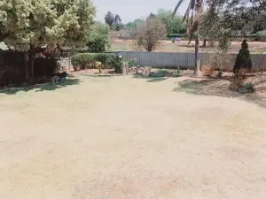 4 Bedroom House to Rent in Strathaven