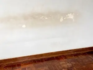 Flat/Apartment to Rent in Avenues