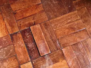 Flat/Apartment to Rent in Avenues