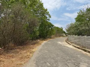 Residential Stand for Sale