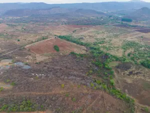 Residential Stand for Sale