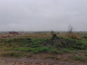 Residential Stand for Sale