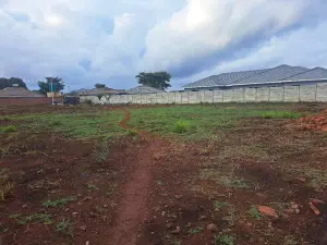 Residential Stand for Sale