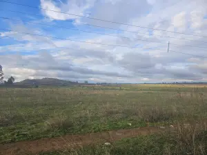 Residential Stand for Sale