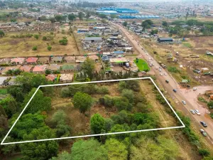 Commercial Stand for Sale