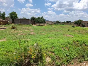 Residential Stand to Rent