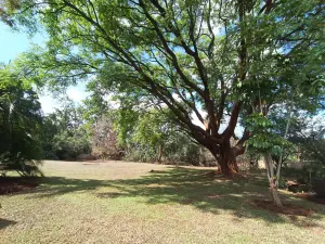 4 Bedroom House to Rent in Rolf Valley