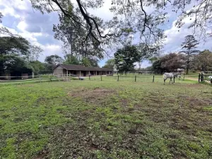 Other Commercial to Rent in Borrowdale