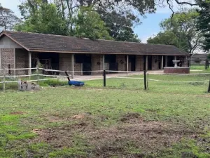 Other Commercial to Rent in Borrowdale