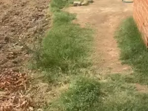 Residential Stand for Sale