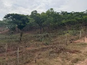 Residential Stand for Sale