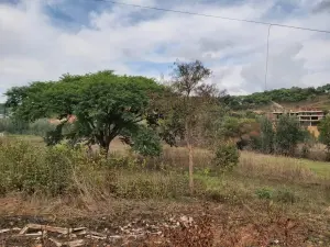 Residential Stand for Sale