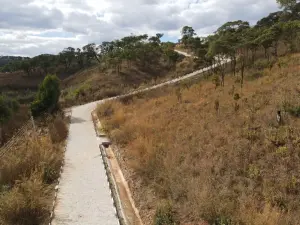 Residential Stand for Sale