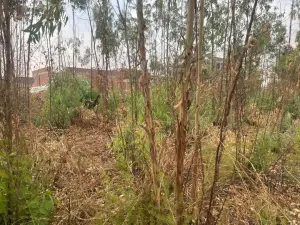 Residential Stand for Sale