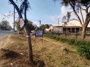 Commercial Stand for Sale