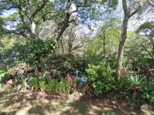 4 Bedroom House to Rent in Glen Lorne