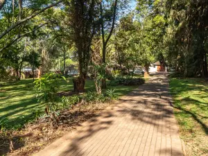 3 Bedroom House to Rent in Chisipite