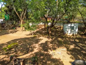 3 Bedroom House to Rent in Chisipite