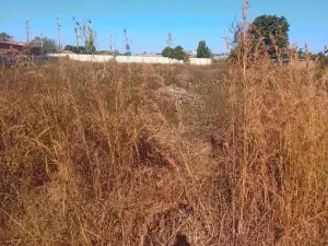 Residential Stand for Sale