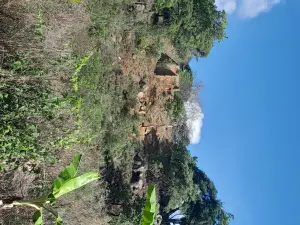 Residential Stand for Sale