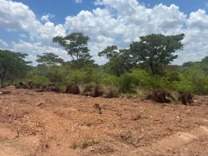 Residential Stand for Sale