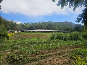 Farm/Plot for Sale