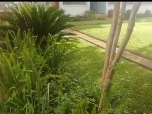 Flat/Apartment to Rent in Avondale