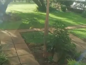 Flat/Apartment to Rent in Avondale