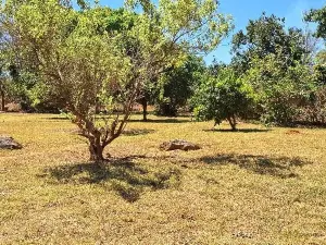 Residential Stand for Sale