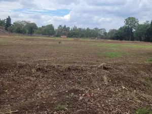 Residential Stand for Sale