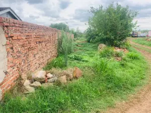 Residential Stand for Sale