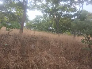 Residential Stand for Sale