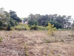 Residential Stand for Sale