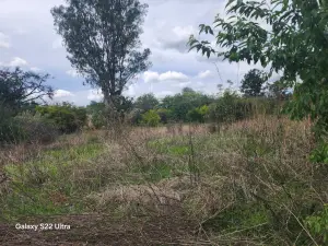 Residential Stand for Sale